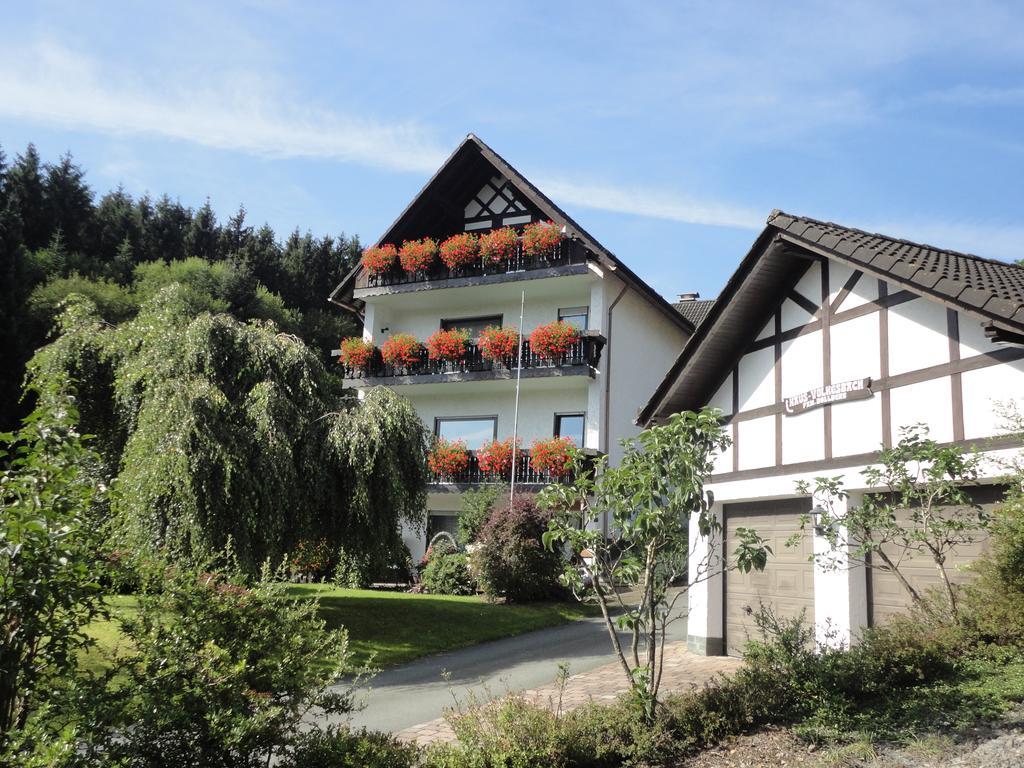 Haus Volkesbach Hotel Liesen Exterior photo